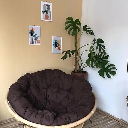 Villa Monstera Jogja, Cozy Villa For Staycation-2